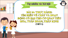 Giáo án Powerpoint Bài 24 Tự nhiên xã hội lớp 3 Chân trời sáng tạo: Thực hành tìm hiểu chất và hoạt động có hại cho cơ quan tiêu hóa, tuần hoàn, thần kinh