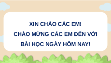 Giáo án Powerpoint Viết: Viết bài văn miêu tả cây cối (trang 35) Tiếng việt lớp 4 Chân trời sáng tạo (Phiên bản 2)