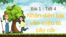 Giáo án Powerpoint Viết: Bài văn miêu tả cây cối trang 11, 12 Tiếng việt lớp 4 Chân trời sáng tạo