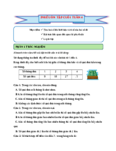 Bài tập cuối tuần Toán lớp 5 Cánh diều Tuần 4