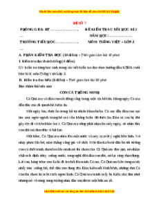 Đề thi cuối kì 2 Tiếng Việt lớp 3 Kết nối tri thức (Đề 7)