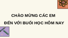Giáo án Powerpoint Bài 10: Thực hành: Quan sát tế bào Sinh học 10 Chân trời sáng tạo