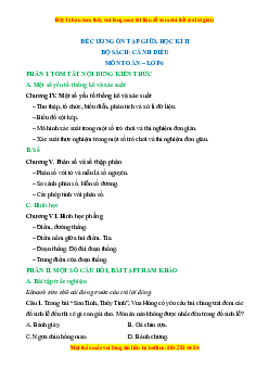 Đề cương ôn tập Giữa kì 2 Toán 6 Cánh diều