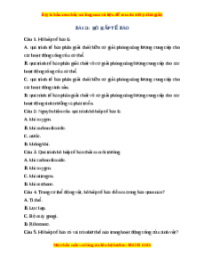 Trắc nghiệm Hô hấp tế bào KHTN 7 Cánh diều