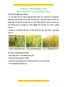 Lý thuyết Bài 11: Khái niệm và vai trò của giống cây trồng