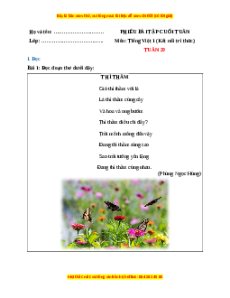 Bài tập cuối tuần Tiếng việt lớp 1 Tuần 29 Kết nối tri thức (có lời giải)