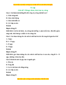 Trắc nghiệm Ôn tập chủ đề 5: Phòng trừ sâu, bệnh hại cây trồng Công nghệ 10 Cánh diều
