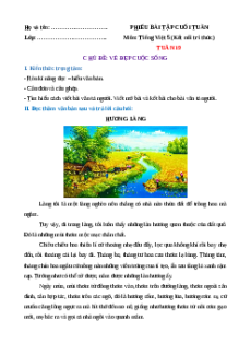 Bài tập cuối tuần Tiếng Việt lớp 5 Kết nối tri thức Học kì 2