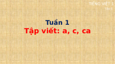 Giáo án Powerpoint Tập viết: c, a, ca Tiếng việt lớp 1 Cánh diều