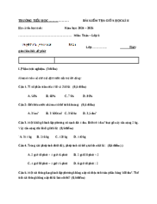 Đề thi Giữa kì 2 Toán lớp 5 Chân trời sáng tạo (Đề 2)