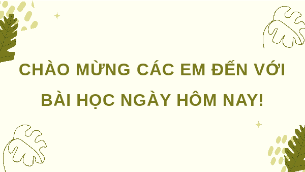 Giáo án Powerpoint Bài 20 Lịch sử & Địa lí lớp 4 Kết nối tri thức: Thiên nhiên vùng Tây Nguyên