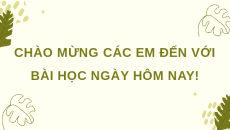 Giáo án Powerpoint Bài 20 Lịch sử & Địa lí lớp 4 Kết nối tri thức: Thiên nhiên vùng Tây Nguyên