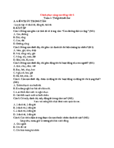 Bài tập Tiếng việt nâng cao lớp 5 Học kì 1