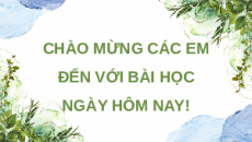 Giáo án Powerpoint Bài 22 Công nghệ chăn nuôi 11 Kết nối tri thức: Xử lí chất thải chăn nuôi