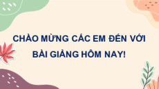Bài giảng Powerpoint Sinh học 11 Cánh diều