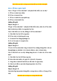 Trắc nghiệm Sinh học 10 Bài 9 Chân trời sáng tạo: Tế bào nhân thực