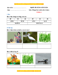 Bài tập cuối tuần Tiếng việt lớp 1 Tuần 3 Kết nối tri thức (có lời giải)