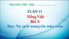 Giáo án Powerpoint Bài 3: Nụ cười mang tên mùa xuân Tiếng Việt lớp 5 Chân trời sáng tạo