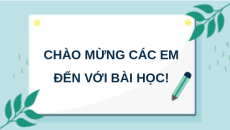 Giáo án Powerpoint Bài 15 KTPL 10 Kết nối tri thức: Nội dung cơ bản của Hiến pháp Việt Nam về chế độ chính trị