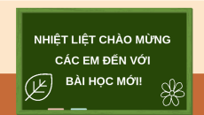 Giáo án Powerpoint Bài 14 Khoa học lớp 5 Chân trời sáng tạo: Sự lớn lên và phát triển của thực vật