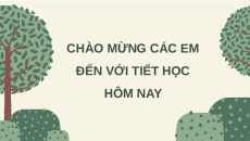 Giáo án Powerpoint Bài 11: Khái niệm và vai trò của giống cây trồng 10 Kết nối tri thức