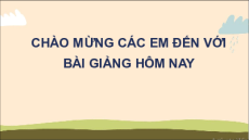 Bài giảng Powerpoint Sinh học 11 Chân trời sáng tạo (phiên bản 2)