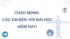 Giáo án Powerpoint Bài 10: Di truyền giới tính và di truyền liên kết với giới tính Sinh học 12 Kết nối tri thức