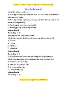 Trắc nghiệm Ôn tập chương 5 Hóa 10 Kết nối tri thức