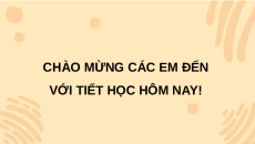 Giáo án Powerpoint Bài 24: Quá trình tổng hợp và phân giải ở vi sinh vật Sinh học 10 Chân trời sáng tạo