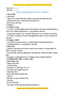 Giáo án Bài 26 KHTN 6 Chân trời sáng tạo (2024): Thực hành quan sát vi khuẩn. Tìm hiểu các bước làm sữa chua