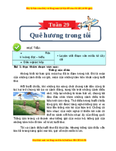 Bài tập cuối tuần Tiếng Việt 4 Tuần 29 Kết nối tri thức (có lời giải)