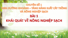 Bài giảng Powerpoint Chuyên đề Sinh học 11 Chân trời sáng tạo