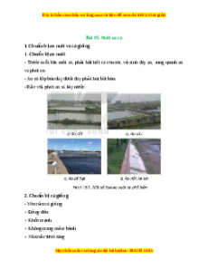 Lý thuyết Bài 15: Nuôi ao cá