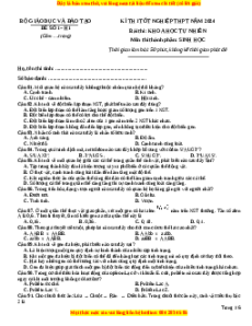 Đề Tốt nghiệp Sinh học 2024 theo đề tham khảo (Đề 1)