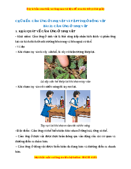 Lý thuyết Khoa học tự nhiên 7 Chân trời sáng tạo Bài 32: Cảm ứng ở sinh vật