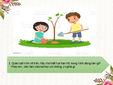 Bài giảng Powerpoint Một số yếu tố ảnh hưởng đến quang hợp Sinh học - KHTN 7 Kết nối tri thức