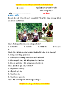 Bài tập cuối tuần Tiếng việt 5 Tuần 12 (có lời giải)