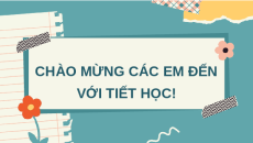 Giáo án Powerpoint Sinh trưởng và phát triển ở thực vật Sinh học 11 Cánh diều