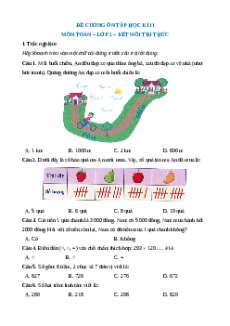 Đề cương ôn tập Học kì 2 Toán lớp 2 Kết nối tri thức