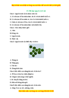 Trắc nghiệm Nguyên sinh vật KHTN 6 Chân trời sáng tạo