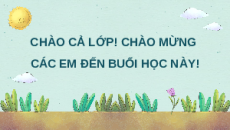 Giáo án Powerpoint Bài 28 Khoa học lớp 5 Chân trời sáng tạo: Chức năng của môi trường