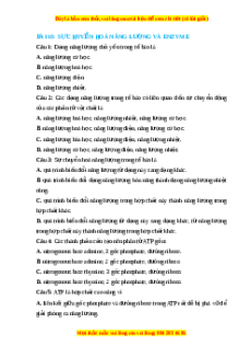 Trắc nghiệm Sự chuyển hóa năng lượng và enzyme Sinh học 10 Cánh diều