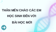 Giáo án Powerpoint Bài 3: Điều hoà biểu hiện gene Sinh học 12 Kết nối tri thức
