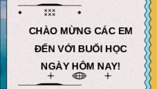 Giáo án Powerpoint chuyên đề Bài 7: Ứng dụng CNSH trong sản xuất giống thủy sản 12 Kết nối tri thức