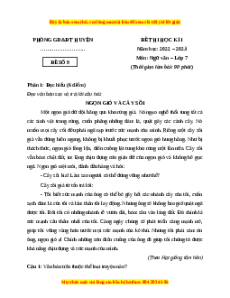 Đề thi cuối kì 1 Ngữ Văn lớp 7 Kết nối tri thức - Đề 9
