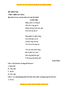 Đề thi cuối kì 1 Ngữ Văn 7 Kết nối tri thức - Đề 13