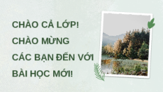 Giáo án Powerpoint chuyên đề Bài 2: Công nghệ sinh học trong chọn, tạo và nhân giống cây lâm nghiệp 12 Kết nối tri thức