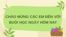 Giáo án Powerpoint Bài 1: Giới thiệu về trồng trọt Công nghệ 7 Kết nối tri thức