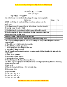 Đề thi cuối kì 2 Tin học 7 Cánh diều (Đề 7)