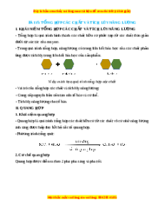 Lý thuyết Sinh học 10 Chân trời sáng tạo Bài 15: Tổng hợp các chất và tích lũy năng lượng